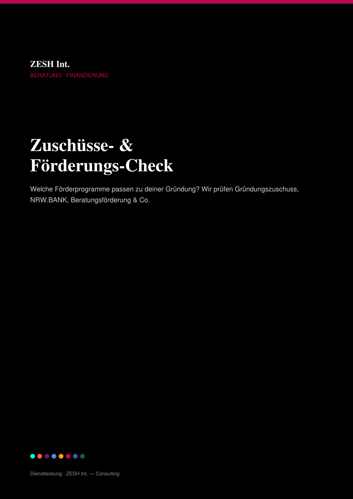 Zuschüsse- & Förderungs-Check